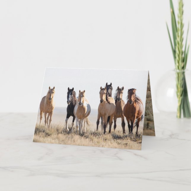 El Dorado e seu cartão de saudação familiar (Frente)