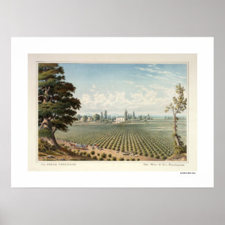 El Pinal Vineyard, San Joaquin County Poster