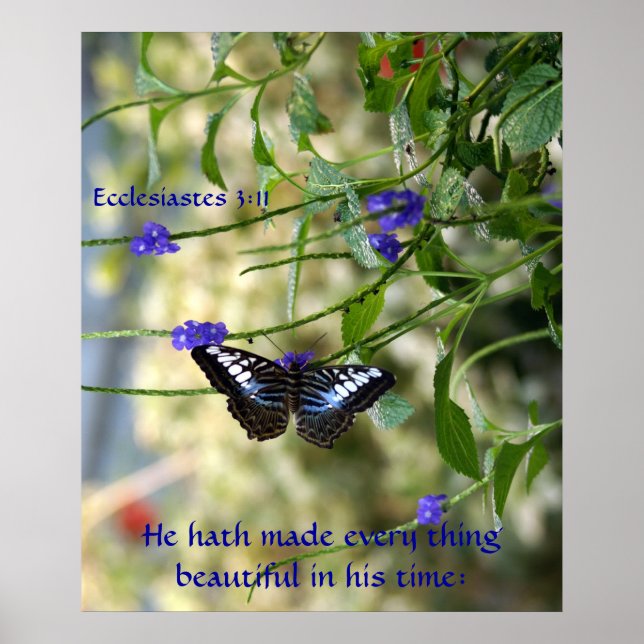 Ele fez tudo uma bela Poster (Frente)