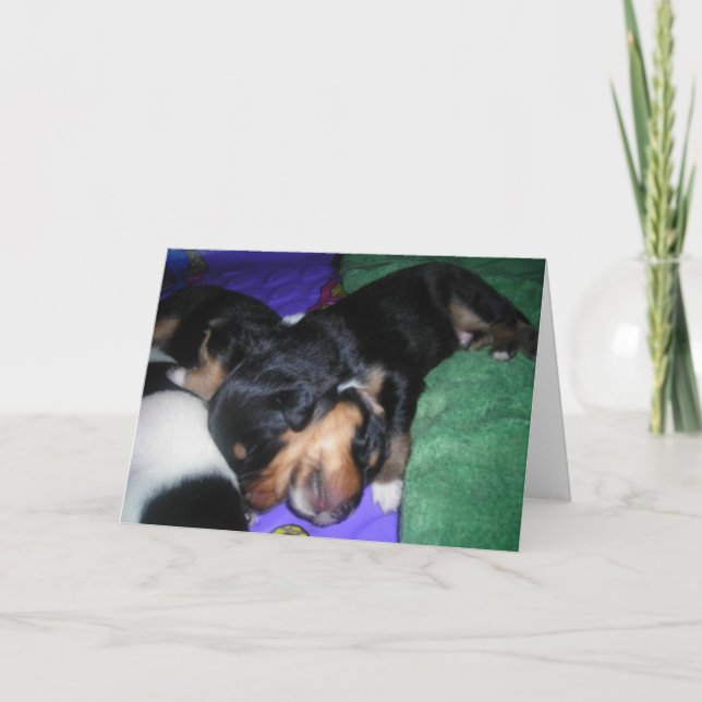 ELE NÃO É PESADO, É MEU IRMÃO. CARTÃO DE ANIVERSÁR (Frente)