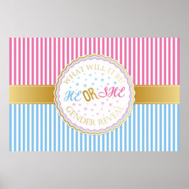 Ele ou Ela Revelam Poster