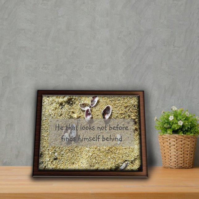 Ele que não parece antes sabedoria dizendo poster (Criador carregado)