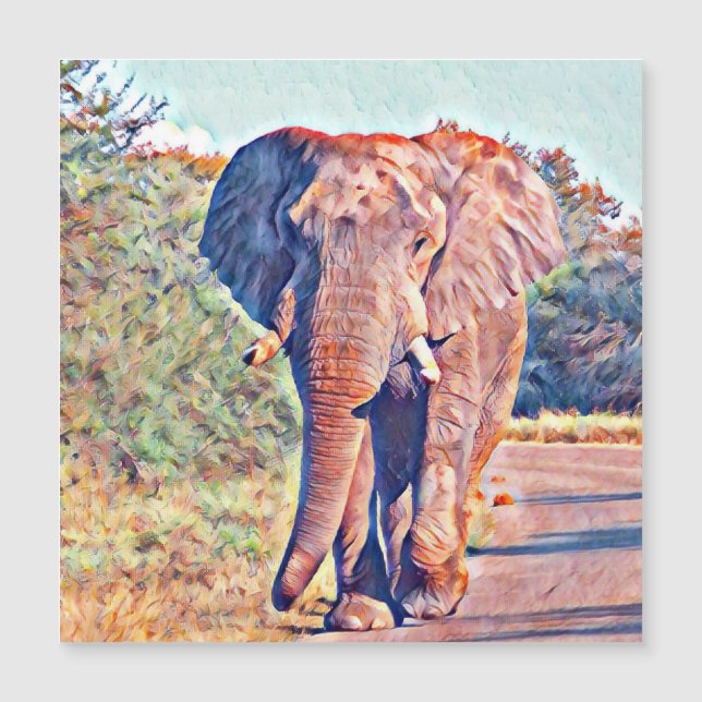 elefante aquarell (Frente)