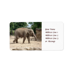 Elefante asiático que anda na etiqueta adesiva da