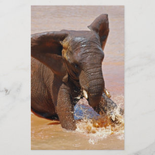 Elefante brincando com água