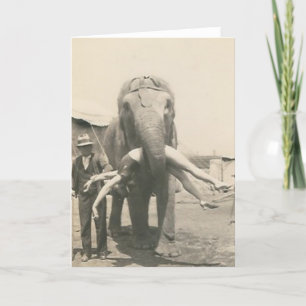 elefante com a menina no cartão da boca