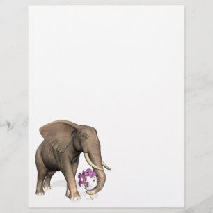 Elefante Com Orquídea Rosa