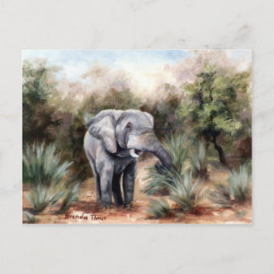 Elefante passando pelo cartão postal