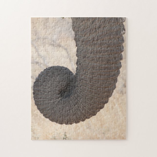 Elefante Trunk Quebra-cabeça (Vertical)