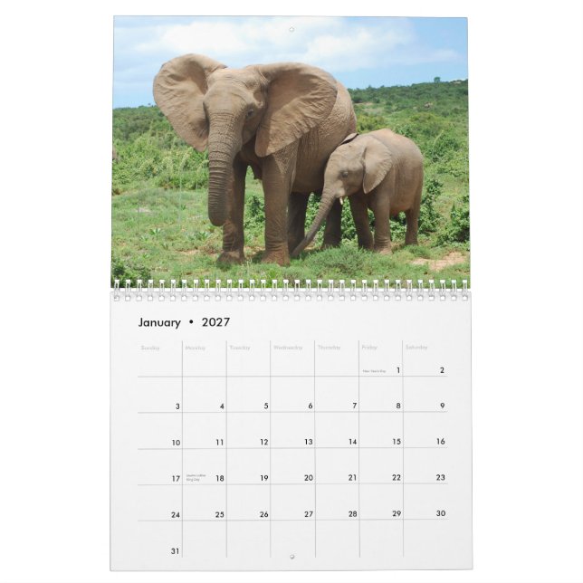 Elefantes africanos no calendário de Addo (Jan 2027)