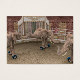 Elefantes de Circo Engraçados