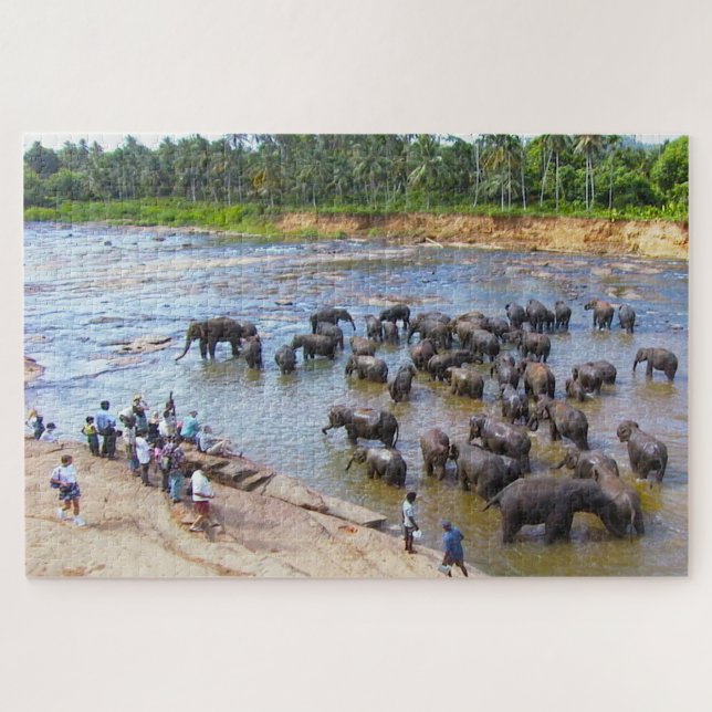Elefantes do Sri Lanka. Quebra-cabeça (Horizontal)