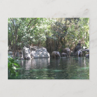 Elefantes no cartão postal