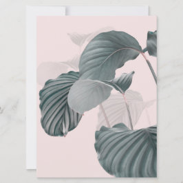 Elegância tropical em Pastel