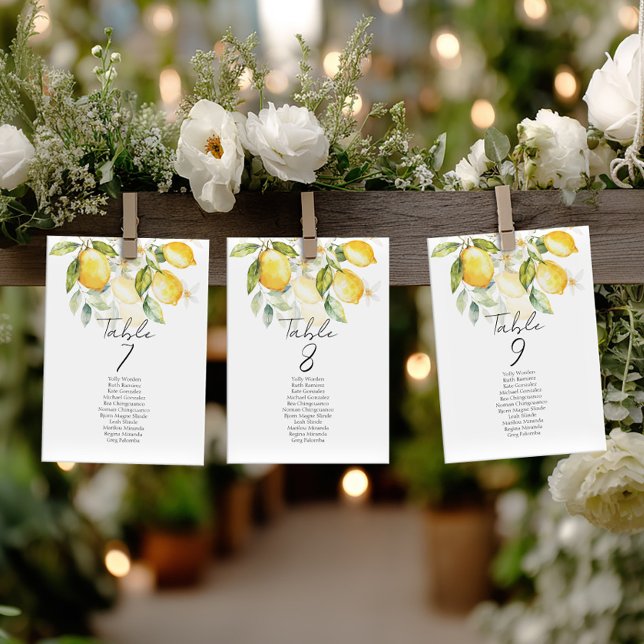 Elegant citrus table number seating chart cards (Criador carregado)