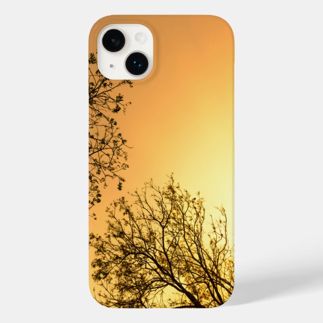 Elegant Natural Beauty (Verso)