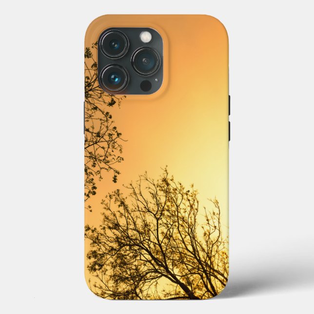 Elegant Natural Beauty (Verso)