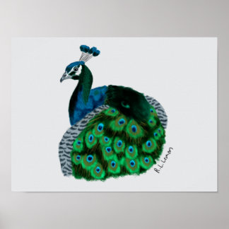 Elegant Peafowl Art Poster