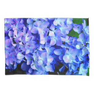 Elegante azul-púrpura magenta hidrangea floral