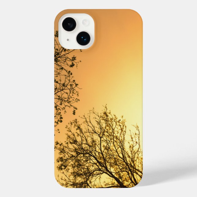 Elegante Beleza Natural (Verso)