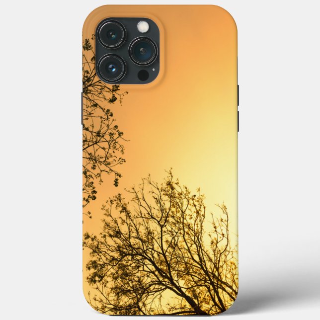 Elegante Beleza Natural (Verso)