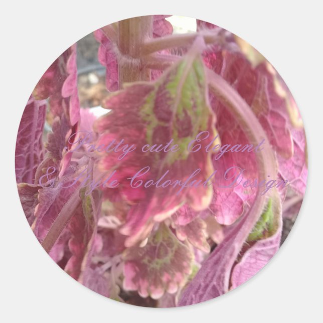 Elegante bonito e adesivo redondo colorido com est (Frente)