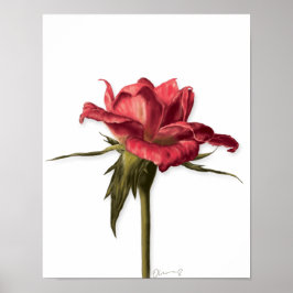 Elegante Floral Rosa Poster