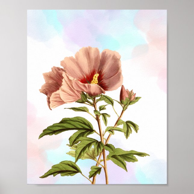 Elegante Impressão Botânica da Flor de Hibiscus (Frente)