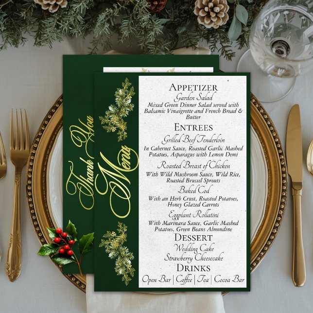 Elegante Menu de Script & Obrigado - Esmeralda (Criador carregado)