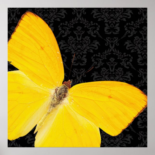 Elegante Yellow Butterfly Black Damask Poster (Frente)