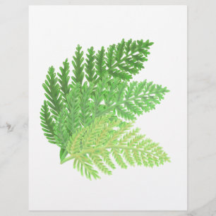 Elegantes folhas de samambaia em aquarela verde na