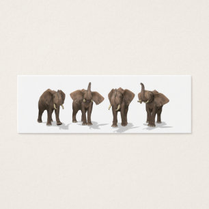 Elephants Quartet