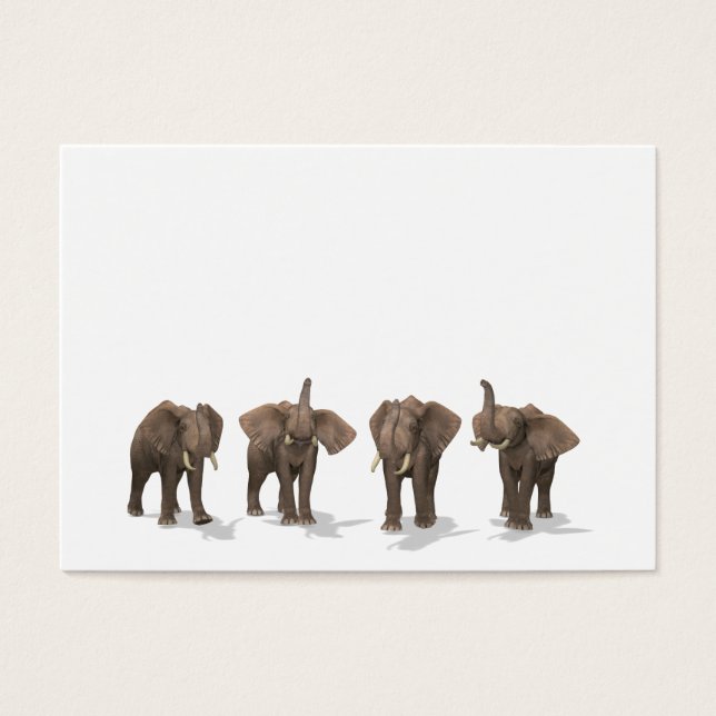 Elephants Quartet (Frente)