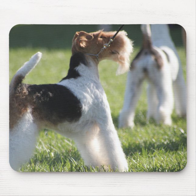 Eliza Mousepad (Frente)