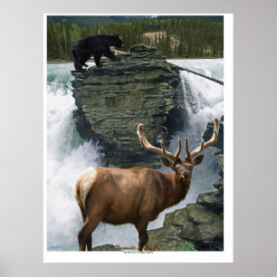Elk & Black Bears Willife Art Poster