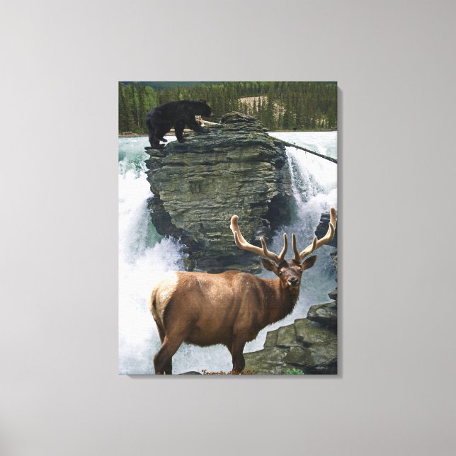 Elk & Black Bears Willife Art Wall Impressão (Frente)