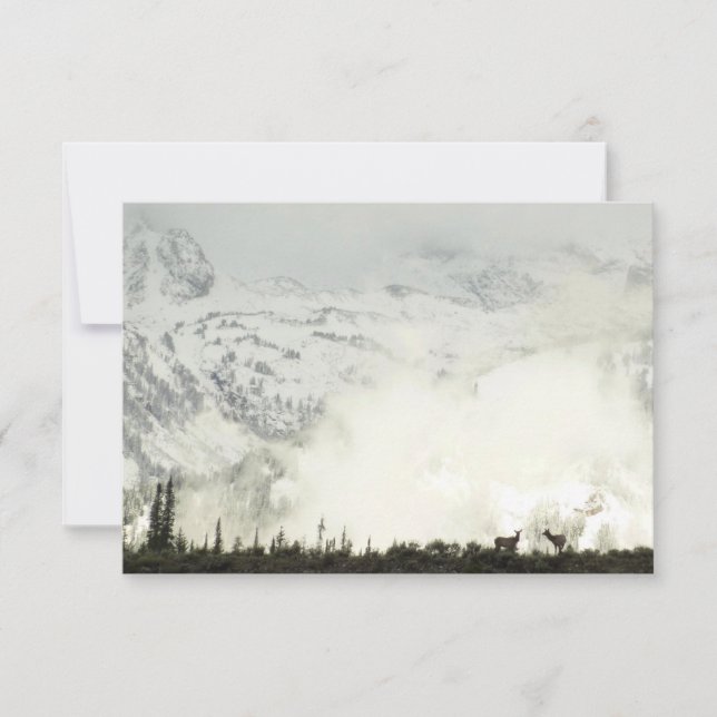 Elk no Grand Teton National Park Fotografia (Frente)