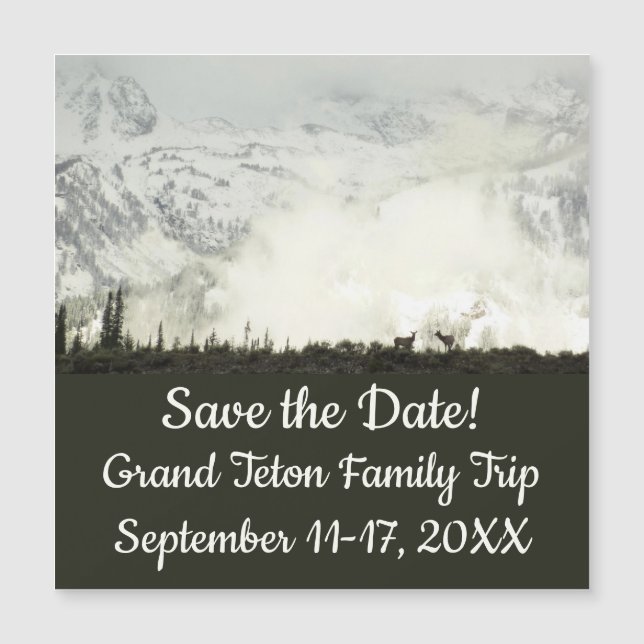 Elk no Grand Teton National Park Fotografia (Frente)