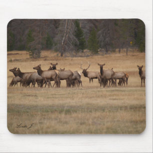 Elk no Selvagem Mousepad