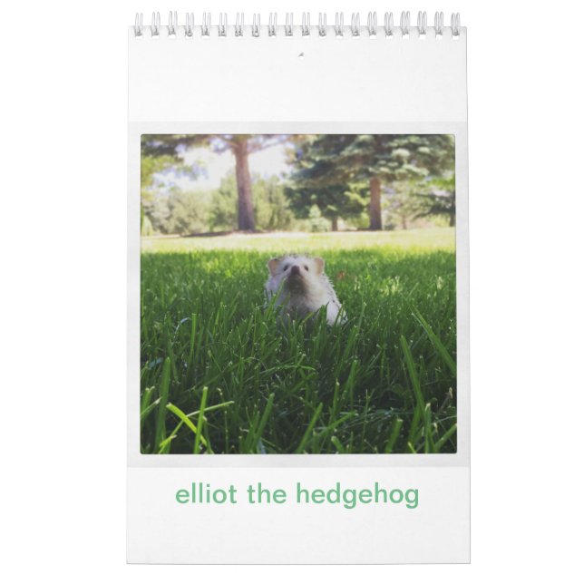 elliot o calendário do ouriço (Capa)