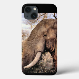 Elphant Lovers