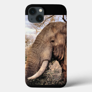 Elphant Lovers
