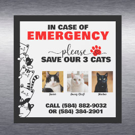 Em Caso De Emergência Salvar 3 Gatos Com Foto Pers