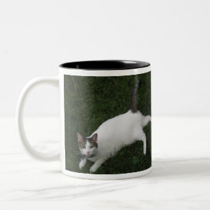 Em Dois Tons Alvin, A Caneca De Café