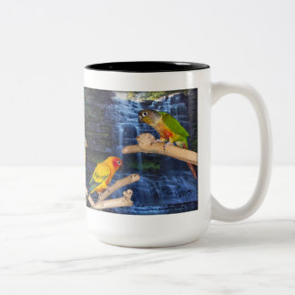Em Dois Tons Caneca de café bonita de Conure