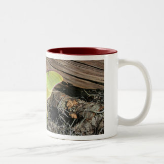 Em Dois Tons Caneca de café da traça de Luna