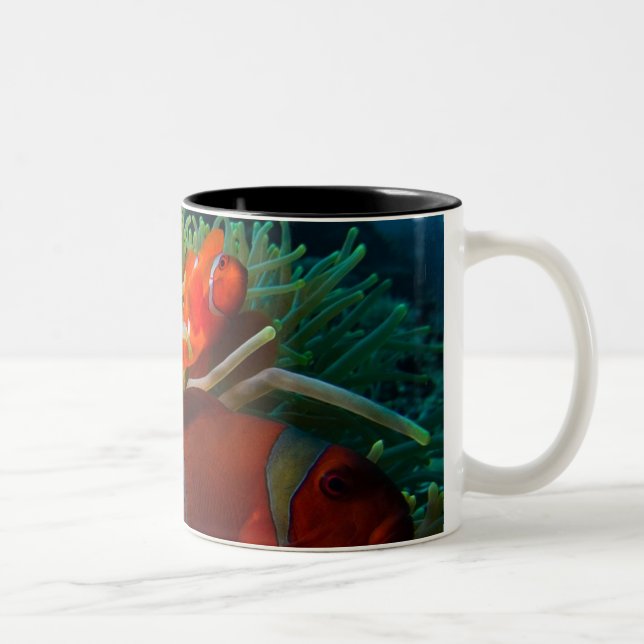 Em Dois Tons Caneca de café de Anemonefish (Direita)