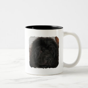 Em Dois Tons Caneca de café do cão de Terra Nova