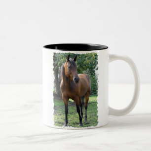 Em Dois Tons Caneca de café do cavalo do puro-sangue da baía