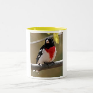 Em Dois Tons Caneca de café do Grosbeak